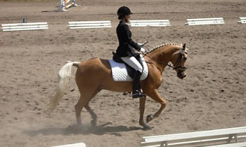 Aline mit Nanou, Herrenstrunden