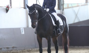 Katrin mit Chaton, Paffrath 2015